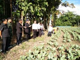 คลิกเพื่อดูภาพขนาดใหญ่