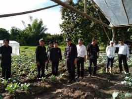 คลิกเพื่อดูภาพขนาดใหญ่