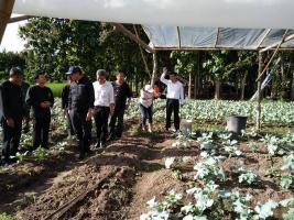 คลิกเพื่อดูภาพขนาดใหญ่