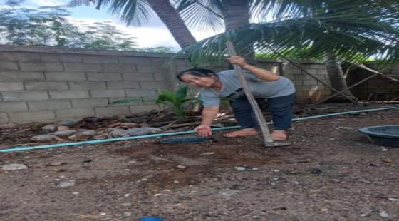 ภาพประกอบข่าว